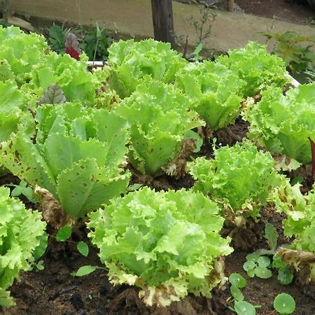 Rinconcito Verde Ujarras Bagian luar foto
