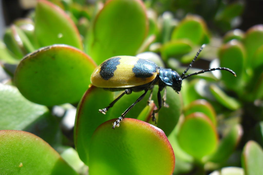 Rinconcito Verde Ujarras Bagian luar foto