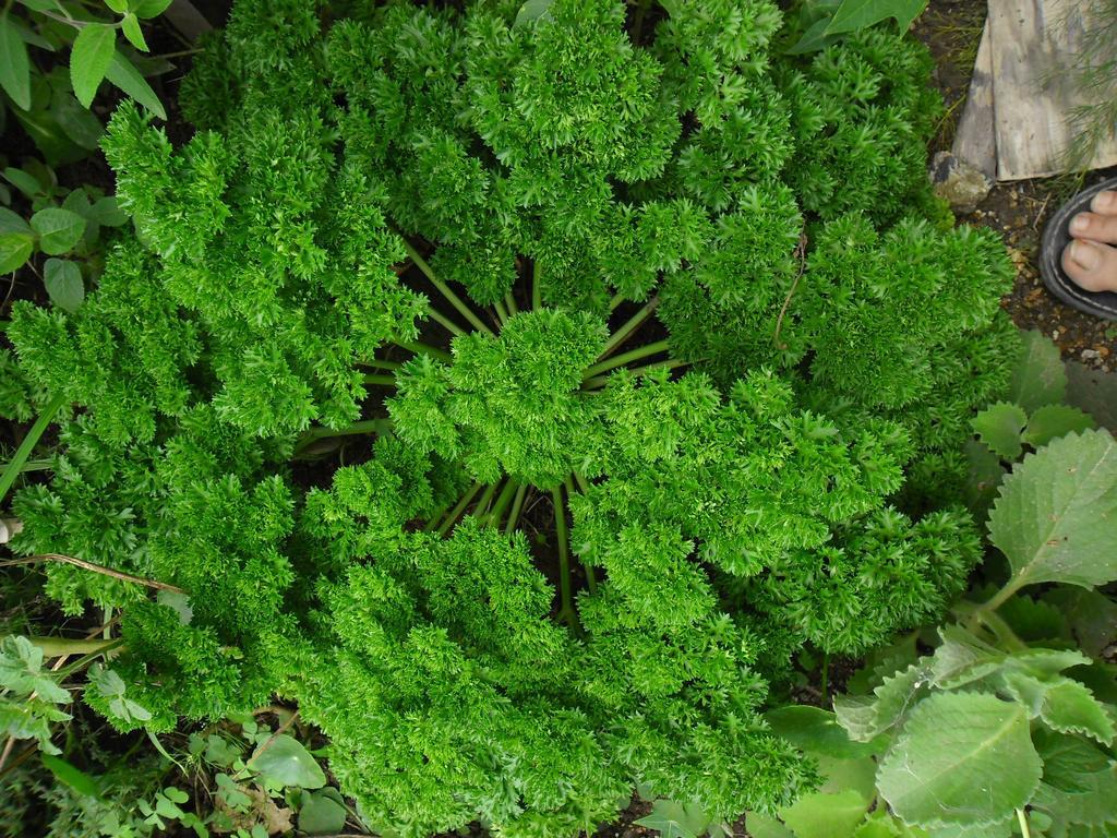 Rinconcito Verde Ujarras Bagian luar foto