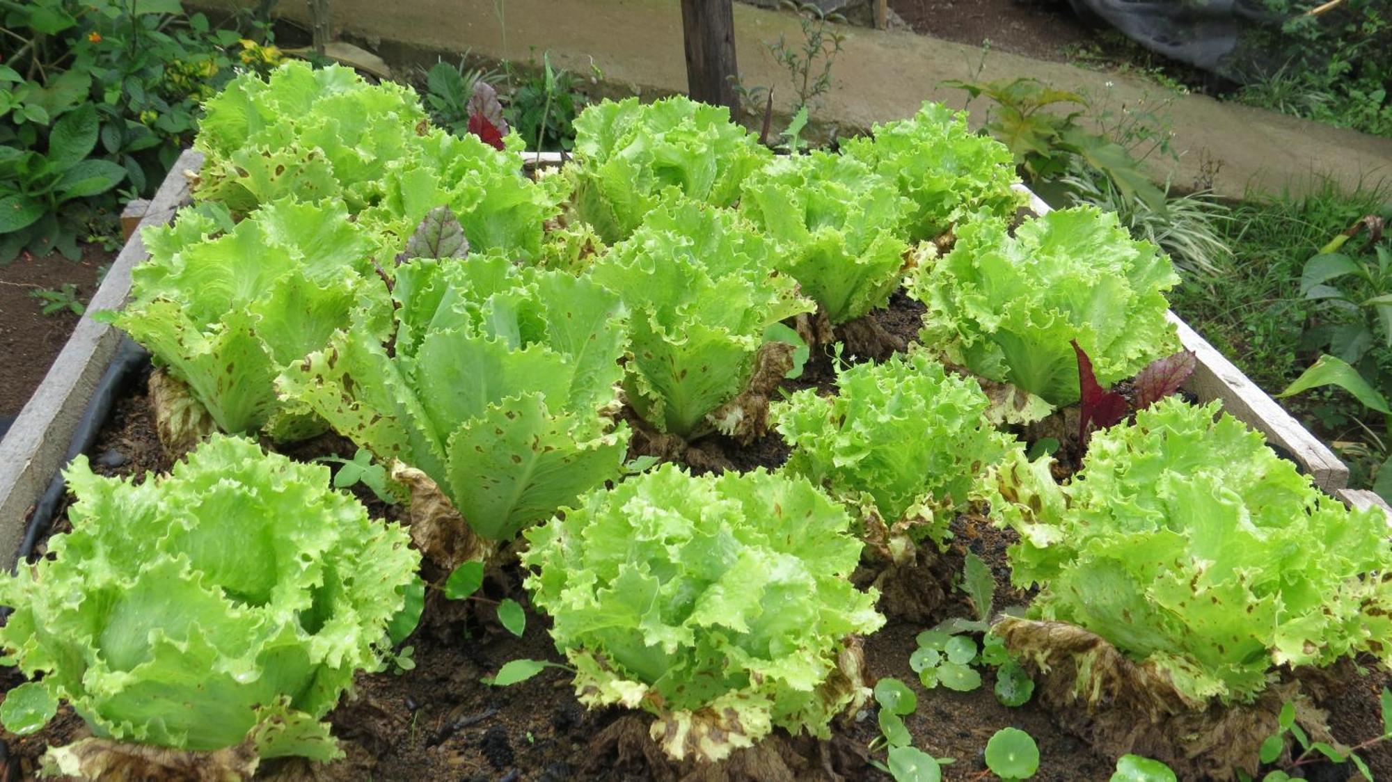Rinconcito Verde Ujarras Bagian luar foto